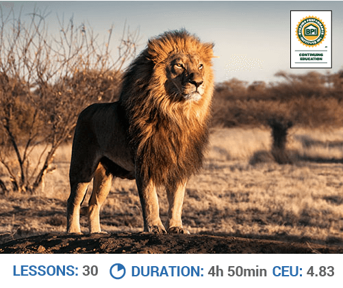 Leadership Principles course image