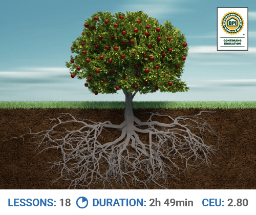 You Don't Build Culture, You Grow It course image
